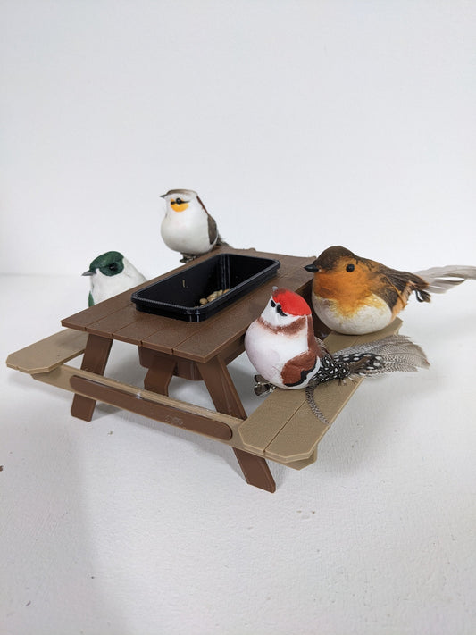 Bird Feeding Gift For Kids - Chaddyverse