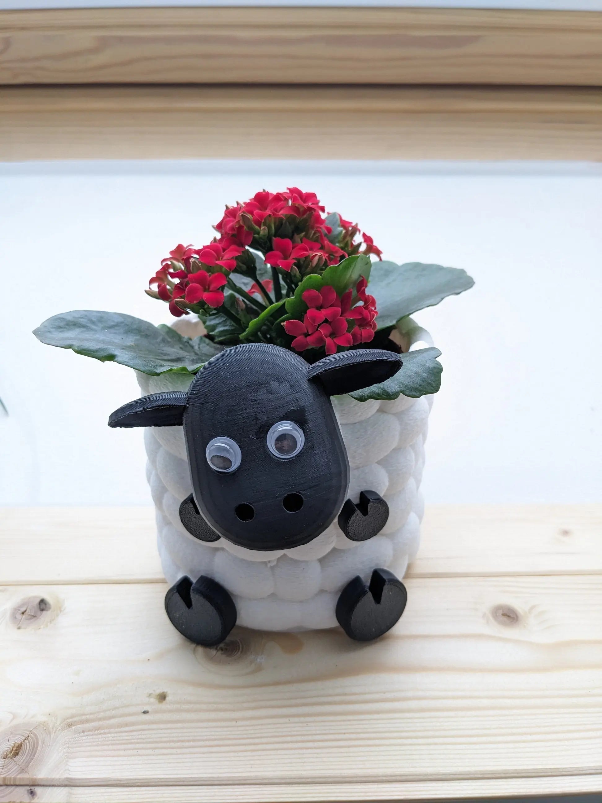 Adorable 3D Printed Sheep Planter - Cute Animal Plant Pot for Succulents & Small Plants choice of 3 to brighten up your indoor flowers. My Store
