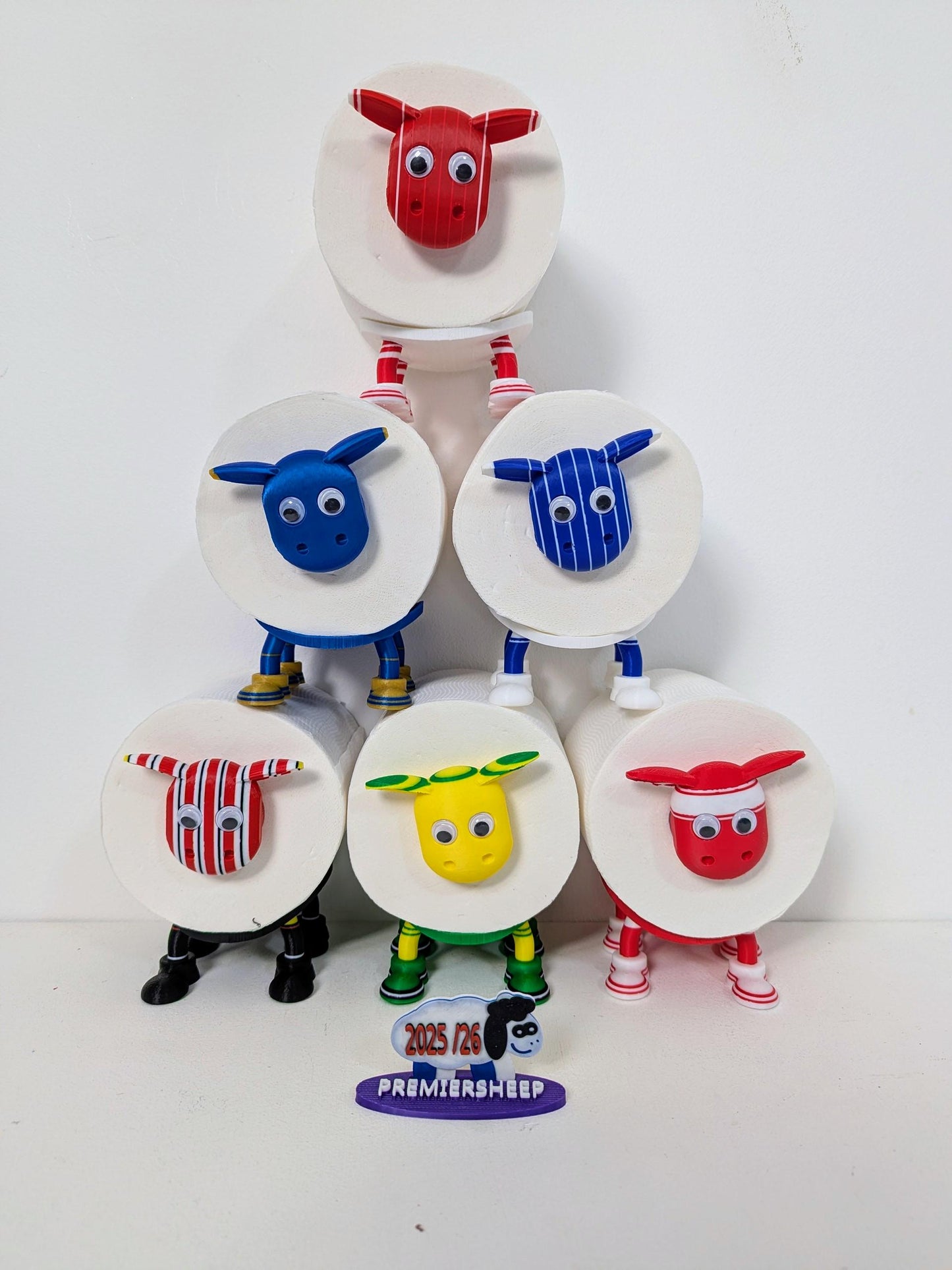 Birmingham City Toilet Roll Holder – New 2025/26 Premiersheep Series,