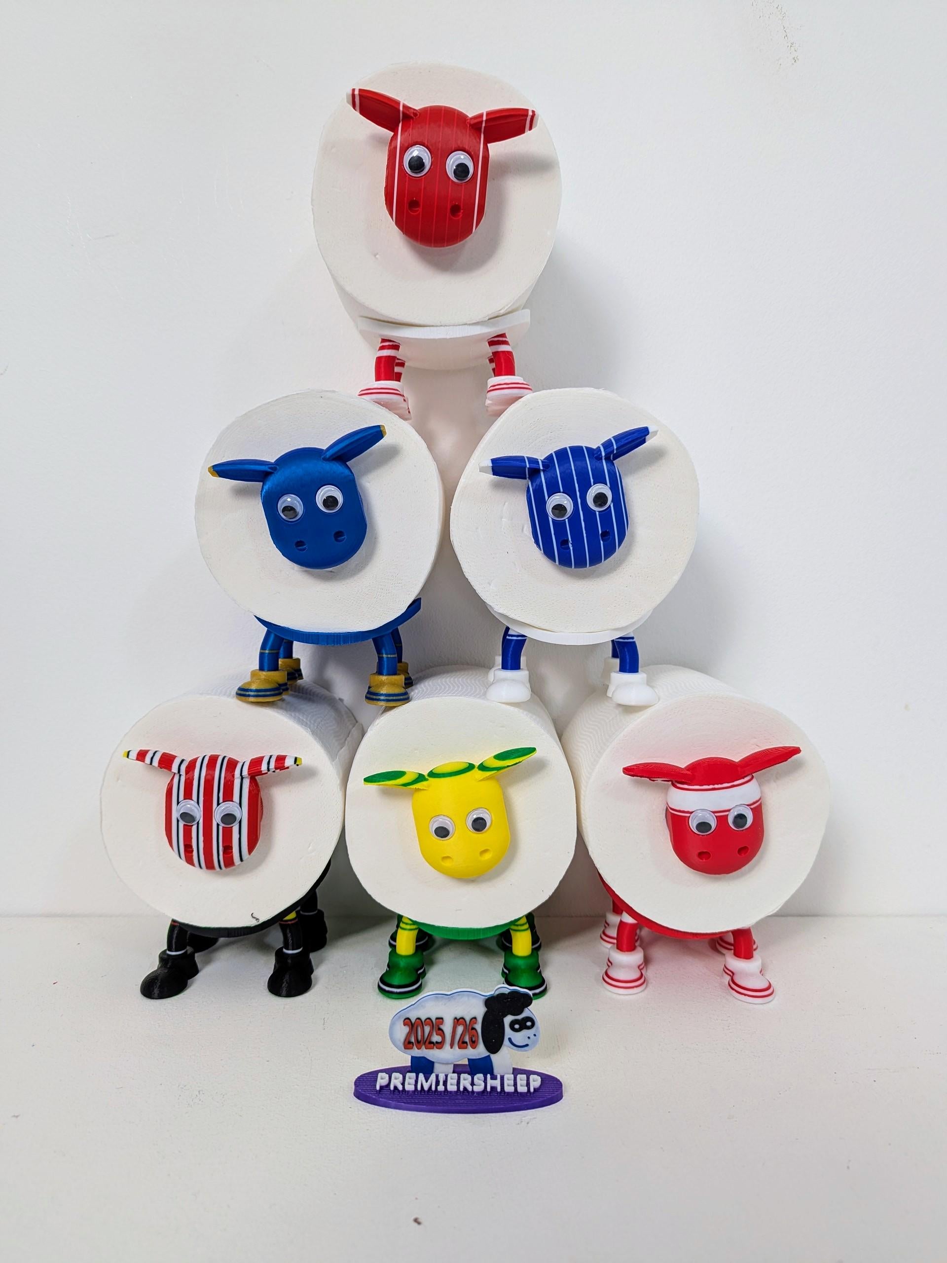 Birmingham City Toilet Roll Holder – New 2025/26 Premiersheep Series,