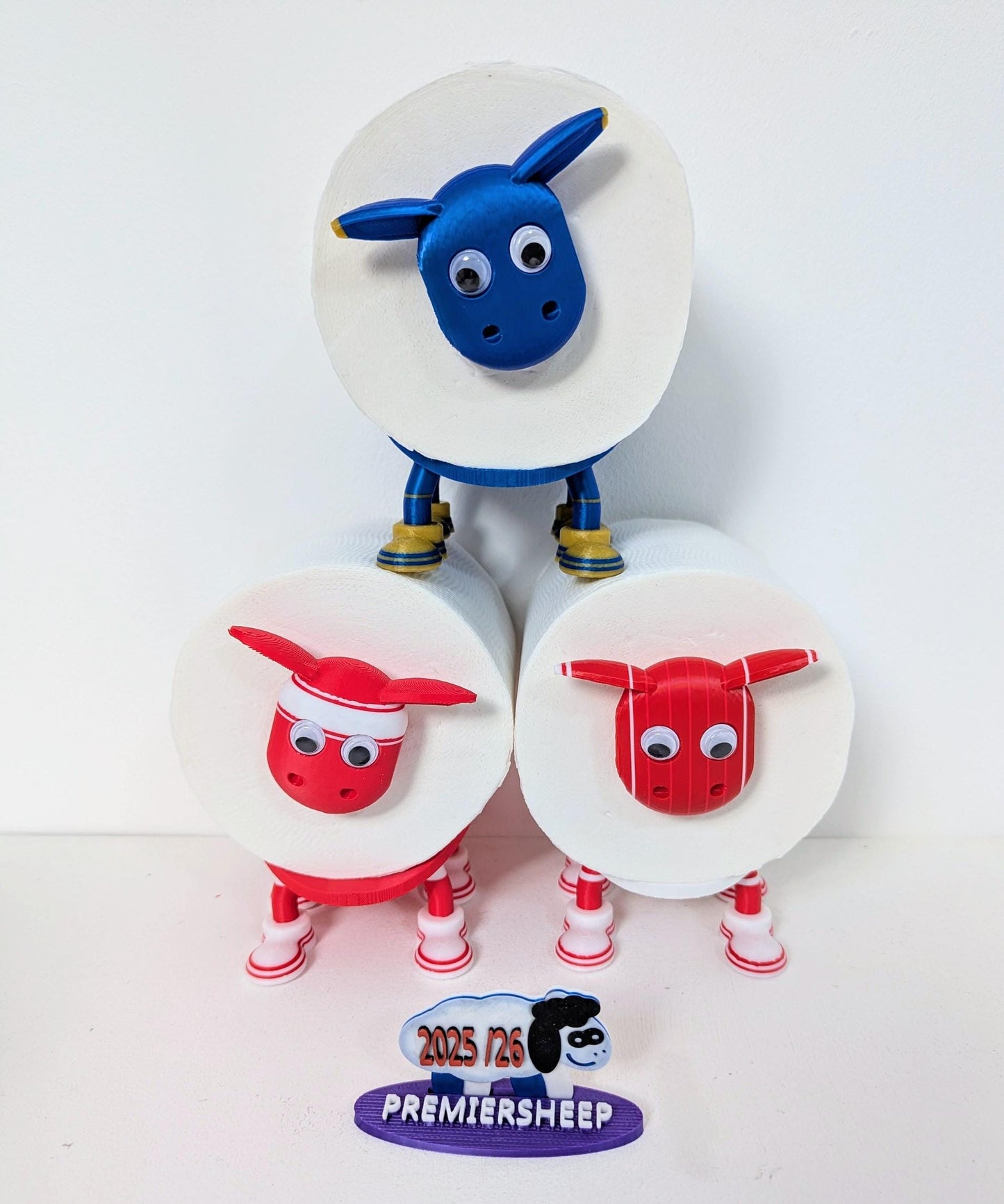 Birmingham City Toilet Roll Holder – New 2025/26 Premiersheep Series,