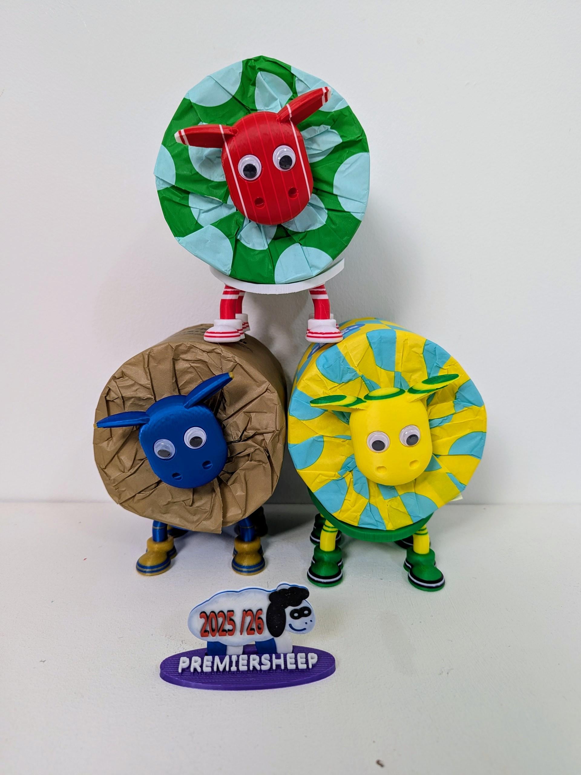 Birmingham City Toilet Roll Holder – New 2025/26 Premiersheep Series,