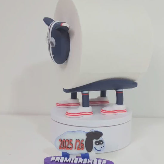 Premiersheep Dundee FC  Toilet Roll Holder – New 2025/26 Football Fan Gift – Universal Fit – Custom Boots